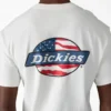 Americana Logo Fill Graphic T-Shirt Americana Logo Fill Graphic T-Shirt