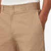 Dickies 1922 Cotton Pants