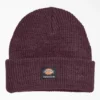Dickies Skateboarding Cuffed Beanie Dickies Skateboarding Cuffed Beanie