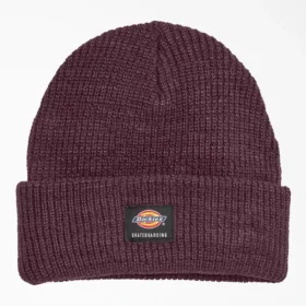 Dickies Skateboarding Cuffed Beanie