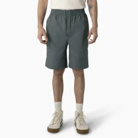 Dickies Skateboarding Grants Pass Relaxed Fit Shorts, 9″