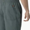 Dickies Skateboarding Grants Pass Relaxed Fit Shorts, 9″ Dickies Skateboarding Grants Pass Relaxed Fit Shorts, 9″
