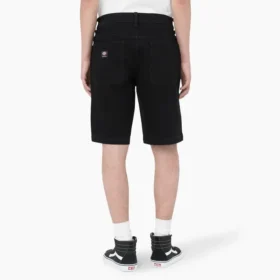 Dickies Skateboarding Loose Fit Wingville Shorts, 11″