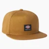 Dickies Skateboarding Mid Pro Cap Dickies Skateboarding Mid Pro Cap