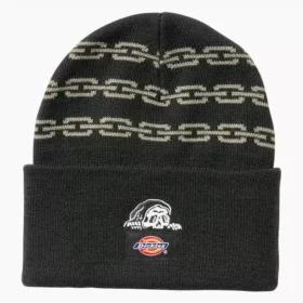 Dickies X Lurking Class Beanie