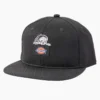 Dickies X Lurking Class Flat Bill Hat Dickies X Lurking Class Flat Bill Hat