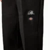 Dickies X Lurking Class Regular Fit Double Knee Pants