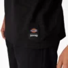 Dickies X Thrasher Graphic T-Shirt Dickies X Thrasher Graphic T-Shirt