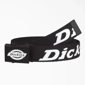Logo Web Belt