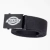 Logo Web Belt