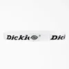 Logo Web Belt Logo Web Belt