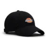 Low Profile Dad Hat Low Profile Dad Hat