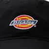 Low Profile Dad Hat Low Profile Dad Hat