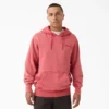 Plentywood Hoodie Plentywood Hoodie