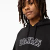 Union Springs Logo Hoodie Union Springs Logo Hoodie