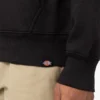 Union Springs Logo Hoodie Union Springs Logo Hoodie