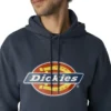 Water Repellent Logo Hoodie Water Repellent Logo Hoodie